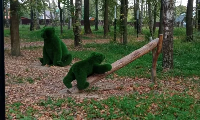 Полиция ищет вандалов, повредивших медвежонка в парке под Ярославлем