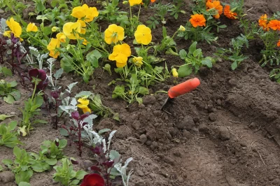 В Ярославле сотрудники предприятия по озеленению брали взятки от подрядчиков