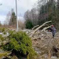 В Ярославской области апрельские снег и ветер вызвали отключения света