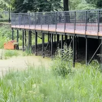 Городские власти пообещали вернуть домик для уток в Петропавловском парке на прежнее место
