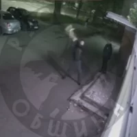 В Ярославле задержали мужчину после жестокого убийства кошки