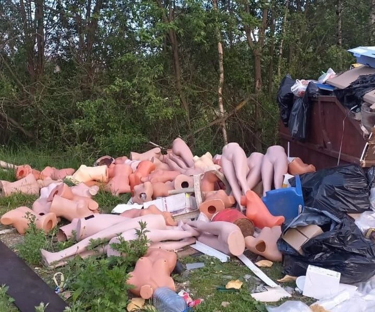 В Ярославской области владелец магазина оштрафован за свалку манекенов В Ярославской области владелец магазина оштрафован за свалку манекенов