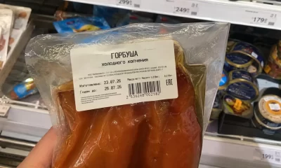 В Ярославской области нашли горбушу &laquo;из будущего&raquo;
