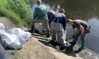 В Ярославской области объявили о завершении очистки реки после черного дождя