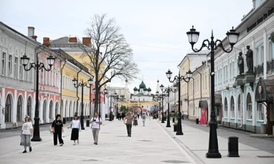Власти Ярославля объяснили отказ от деревьев в пользу кадочного озеленения