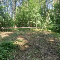 В Ярославле в Павловской роще забил источник