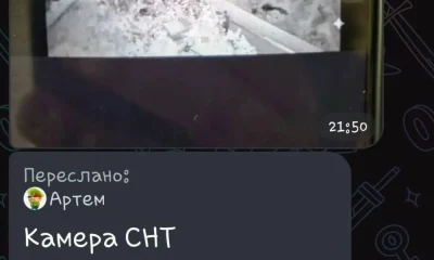 Под Ярославлем жители деревень просят прогнать в лес медведя