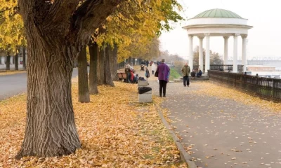 В Ярославской области средняя продолжительность жизни мужчин составила 66 лет