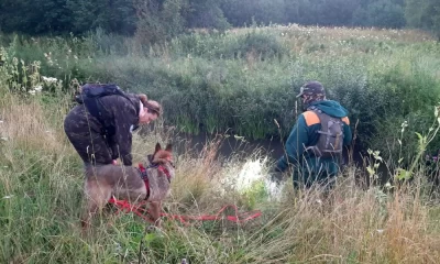 В Ярославской области в лесах ищут двух пожилых женщин