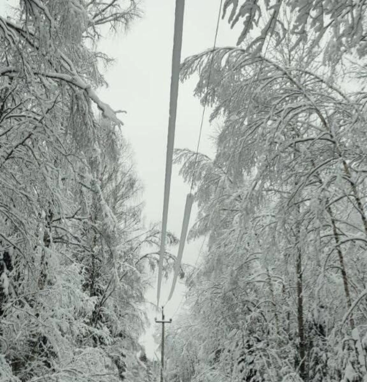 Ярославские энергетики контролируют работу электросетей в условиях непогоды