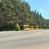 Профсоюзы призвали не экономить на туалетах для водителей &laquo;Яавтобусов&raquo;