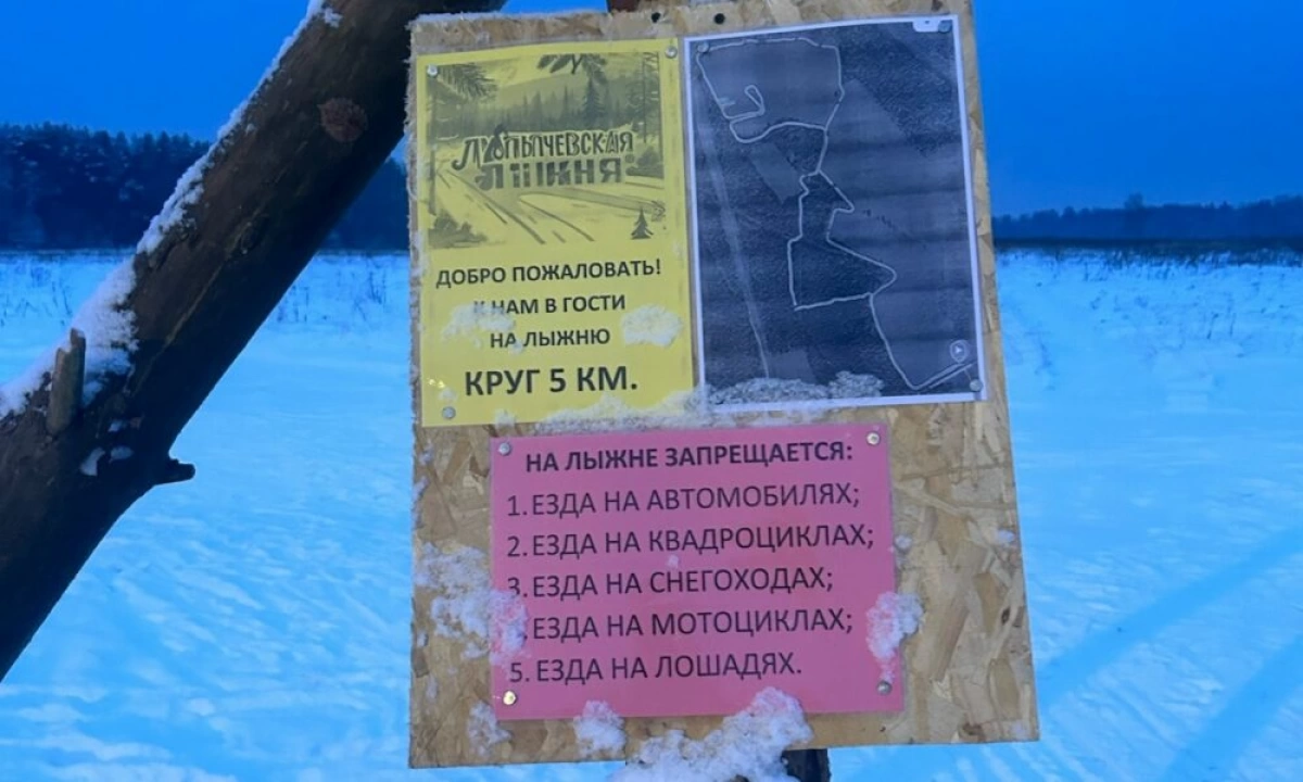 &laquo;Девочки травмированы, лошади пострадали&raquo;: под Ярославлем мужчина на &laquo;Буране&raquo; гонялся за всадницами