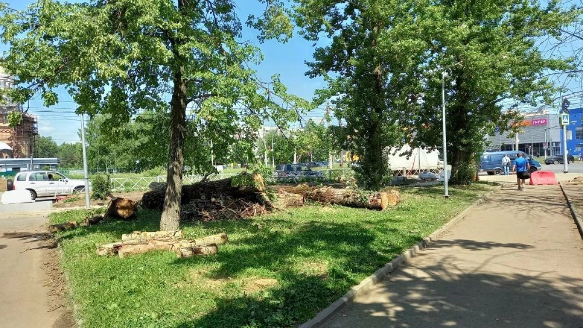 В Ярославле в парке 30-летия Победы вырубят свыше 220 деревьев В Ярославле в парке 30-летия Победы вырубят свыше 220 деревьев