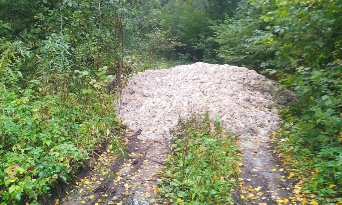 Пятнадцать тонн потрохов вывезли из леса в Ярославской области Пятнадцать тонн потрохов вывезли из леса в Ярославской области