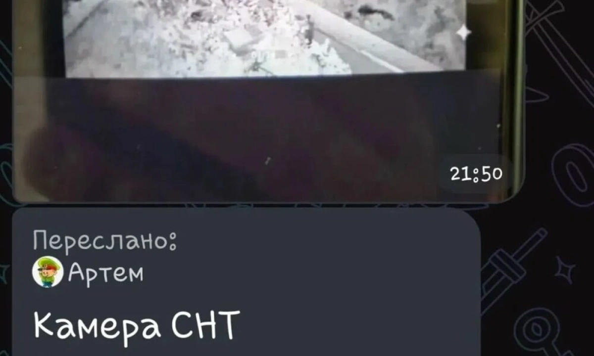 Под Ярославлем жители деревень просят прогнать в лес медведя Под Ярославлем жители деревень просят прогнать в лес медведя