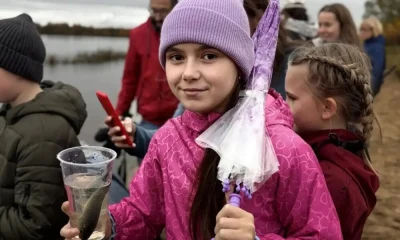 В Ярославле в Волгу выпустили тысячу мальков сазана&nbsp;