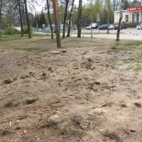 Мэрия Ярославля поставила на просушку парк 30-летия Победы