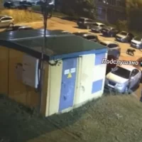 В Ярославле по брагинским улицам разгуливал медвежонок