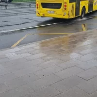 Ярославцы просят наградить водителя автобуса