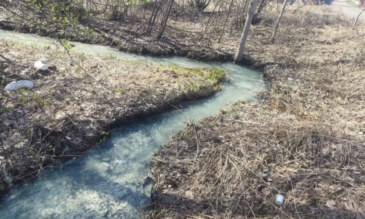 В Ярославле жители вновь сообщают о позеленевшем Дудкинском ручье