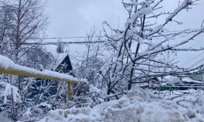 В Ярославской области сирота живет в купленном соседями строительном вагончике