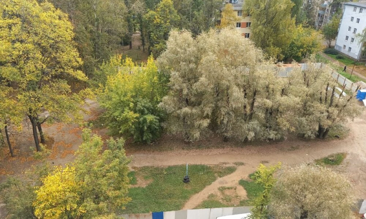 В Ярославле брагинцы не смогли отстоять свои дворы от точечной застройки В Ярославле брагинцы не смогли отстоять свои дворы от точечной застройки