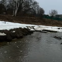 &laquo;Вилами колют рыбу&raquo;: ярославцы сообщают о случаях браконьерства во время нереста