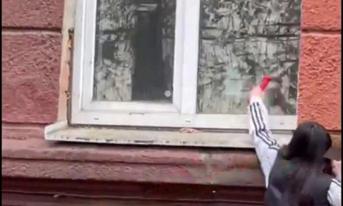 В Ярославле нашли школьницу, бившую окна в бывшей детской больнице В Ярославле нашли школьницу, бившую окна в бывшей детской больнице