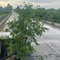 В Ярославской области жители опасаются обрушения моста