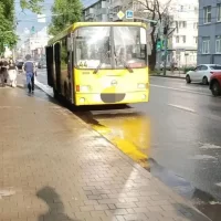 Девушка, сбитая &laquo;Яавтобусом&raquo; на пешеходном переходе, скончалась в больнице