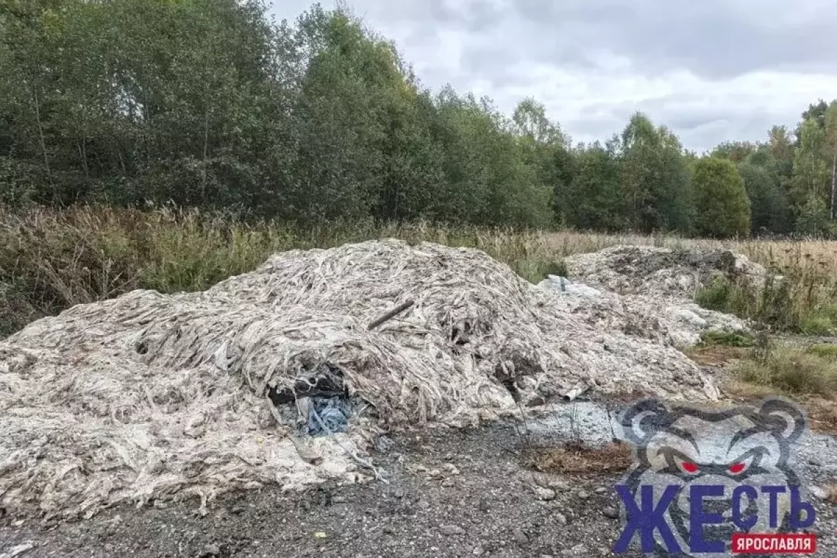 В Ярославской области готовятся вывезти вторую гору потрохов В Ярославской области готовятся вывезти вторую гору потрохов