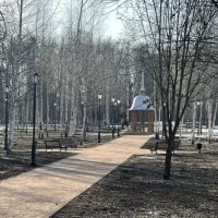 В Ярославле в Петропавловском парке высадят деревья по исторической справке