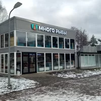 В Ярославле территорию после сноса ресторана &laquo;Много рыбы&raquo; обещают привести в порядок