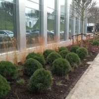 <br />
<b>Notice</b>:  Undefined variable: title_field in <b>/var/www/s246446/data/www/tutaev.city/templates/portal/controllers/content/widgets/list/list_news_custom.tpl.php</b> on line <b>21</b><br />
<br />
<b>Notice</b>:  Undefined index:  in <b>/var/www/s246446/data/www/tutaev.city/templates/portal/controllers/content/widgets/list/list_news_custom.tpl.php</b> on line <b>21</b><br />
