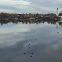 Ученые обнаружили в Волге десять новых для реки видов рыб