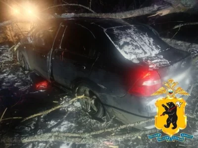 В Ярославской области упавшие на дороги деревья приводят к ДТП