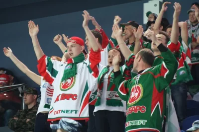 Отец Илона Маска пришел на матч КХЛ