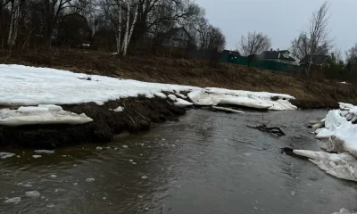 &laquo;Вилами колют рыбу&raquo;: ярославцы сообщают о случаях браконьерства во время нереста