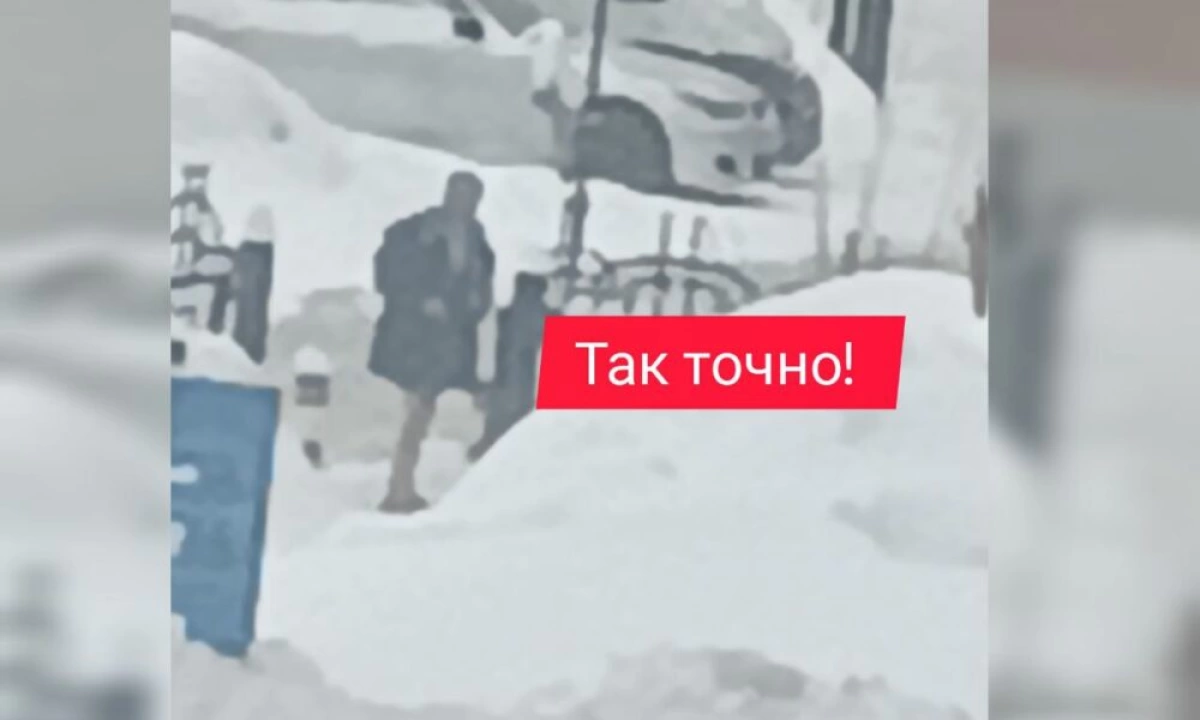 В ярославском минздраве прокомментировали прыжок пациента со второго этажа больницы В ярославском минздраве прокомментировали прыжок пациента со второго этажа больницы