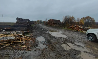 В Ярославской области лесозаготовители превратили дорогу в месиво из грязи