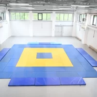 Центр единоборств в Гаврилов-Яме откроется в новом учебном году