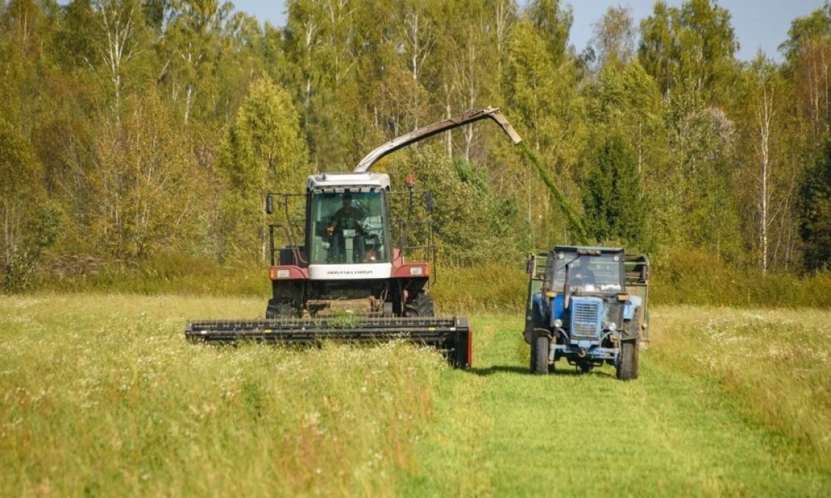 В Ярославской области сообщили о хорошем урожае зерновых культур В Ярославской области сообщили о хорошем урожае зерновых культур