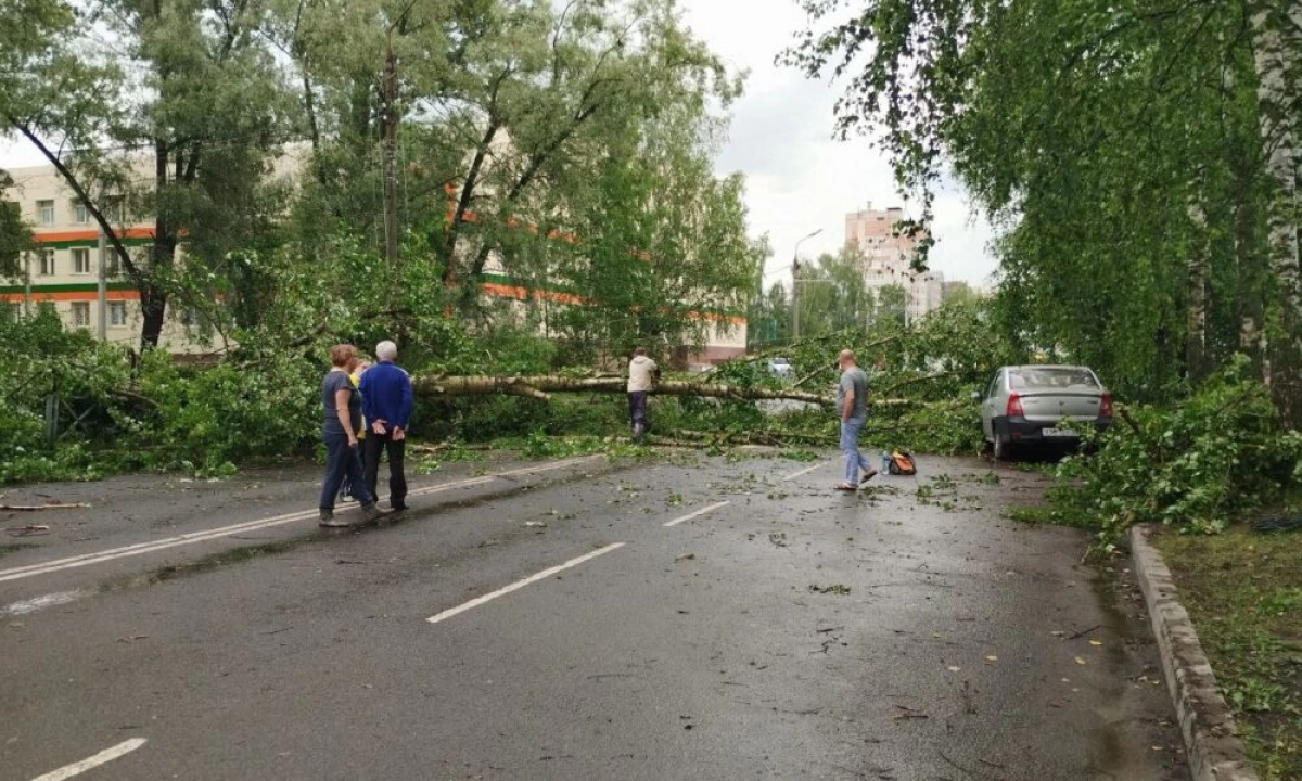Ярославцы через суд взыскивают ущерб от июльского урагана Ярославцы через суд взыскивают ущерб от июльского урагана
