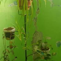 В Ярославской области жителей многоэтажки поссорили цветы в подъезде