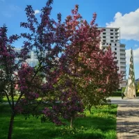 В Ярославле благоустроители нацелились на сквер &laquo;Встреча&raquo;