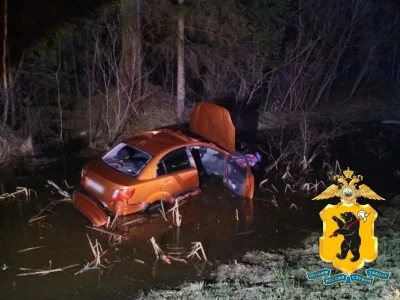 В Ярославской области в ДТП с лосем пострадали три человека