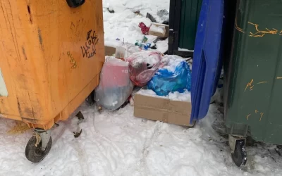 В Ярославской области жители добились переноса помойки из-под окон