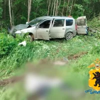 Жителя Ярославской области будут судить за смерть водителя мопеда