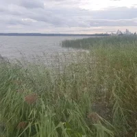 Рыбалка на озере Неро стоила ярославцу 40 тысяч рублей