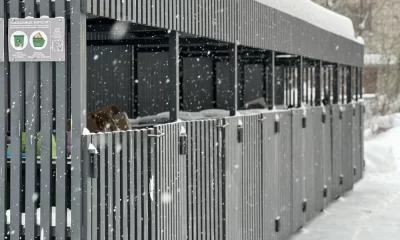 На Красном Перекопе продолжится благоустройство контейнерных площадок